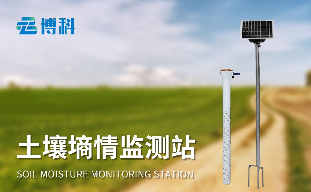管式土壤墒情监测仪掌握多层土壤水分数据，助力农业生产