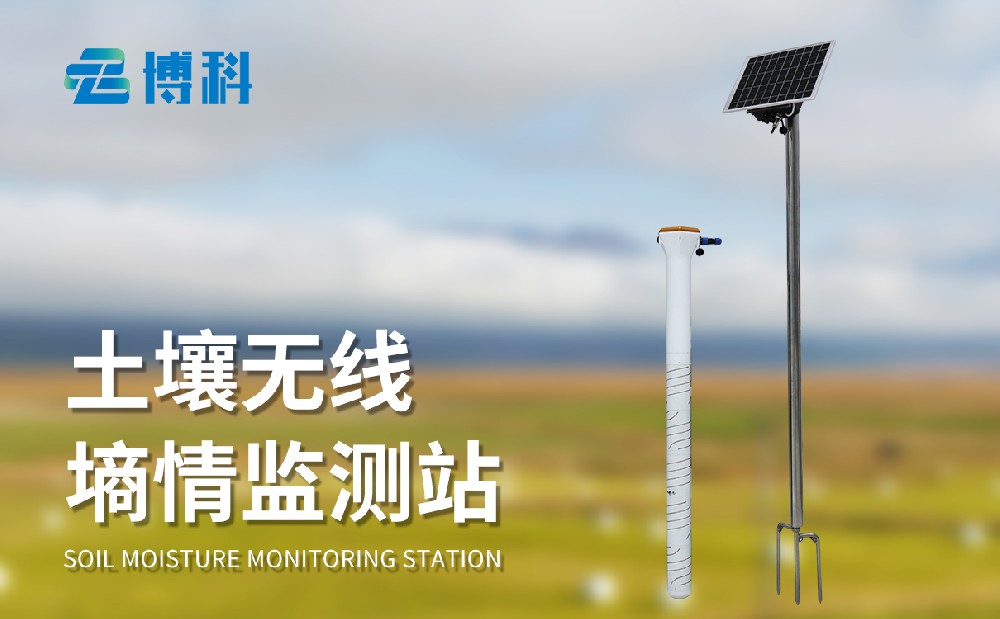 土壤墒情测定仪在茶园种植管理中能起到哪些作用